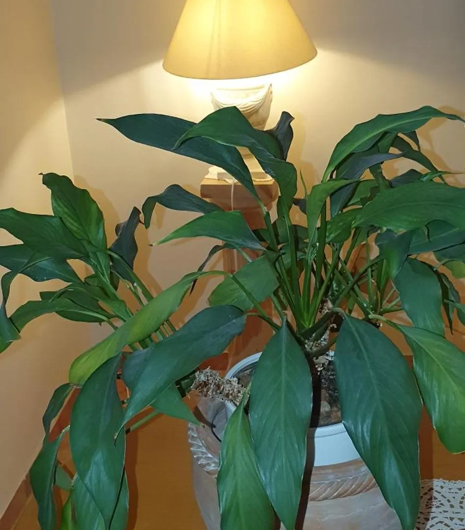 Wohnung In Zentrumsnaehe Beim Hauptbahnhof Vienna Apartment